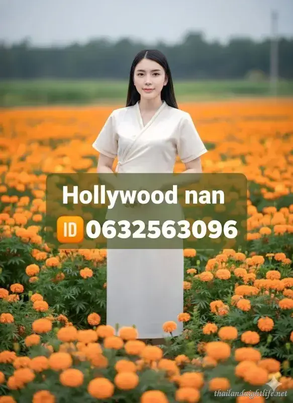 รูปโปรไฟล์ของร้านค้า Hollywood Massage Nan นวด