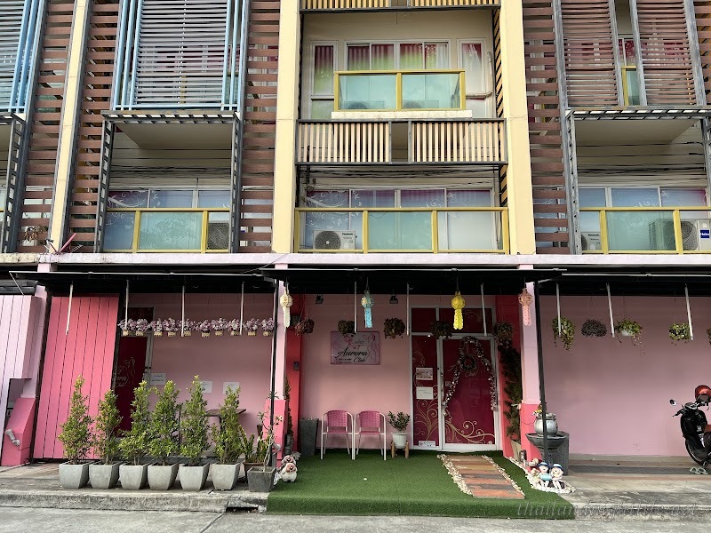 รูปโปรไฟล์ของร้านค้า Aurora Club Chiang Mai กระปู๋คลับ