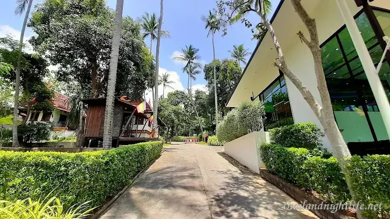 รูปโปรไฟล์ของร้านค้า Alpha Gay Resort & Spa ผับ