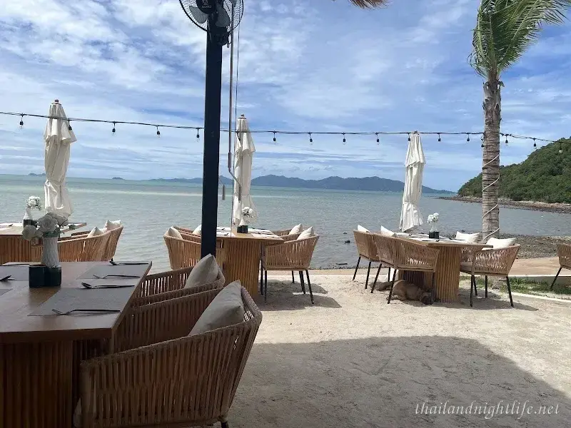 Store profile photo for The Deck Beach Club Pub